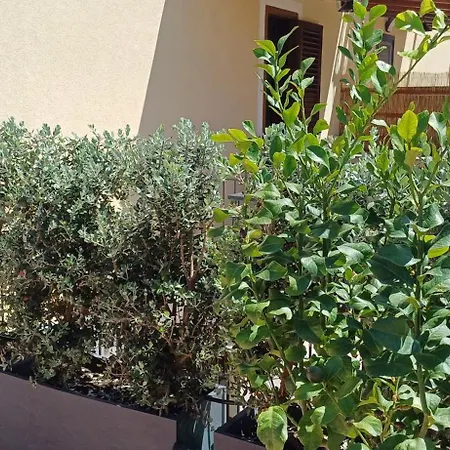 Il Mare Nel Cuore Apartment *